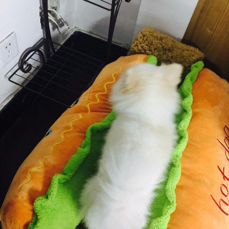 Cama para Pets - Hot Dog - Mega Store