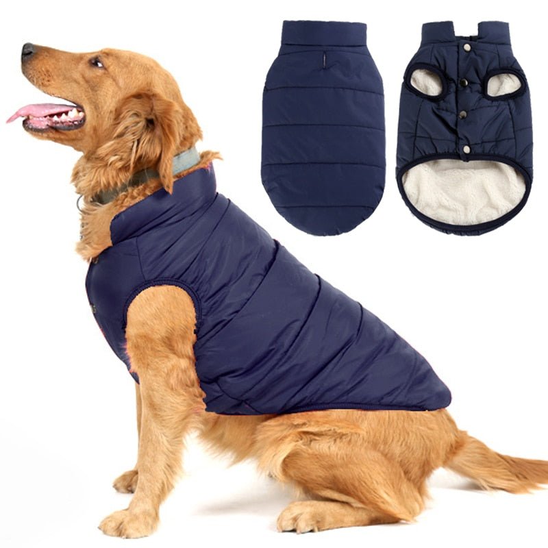 Colete Pet Steve™ | Roupa Para Cachorro - Mega Store