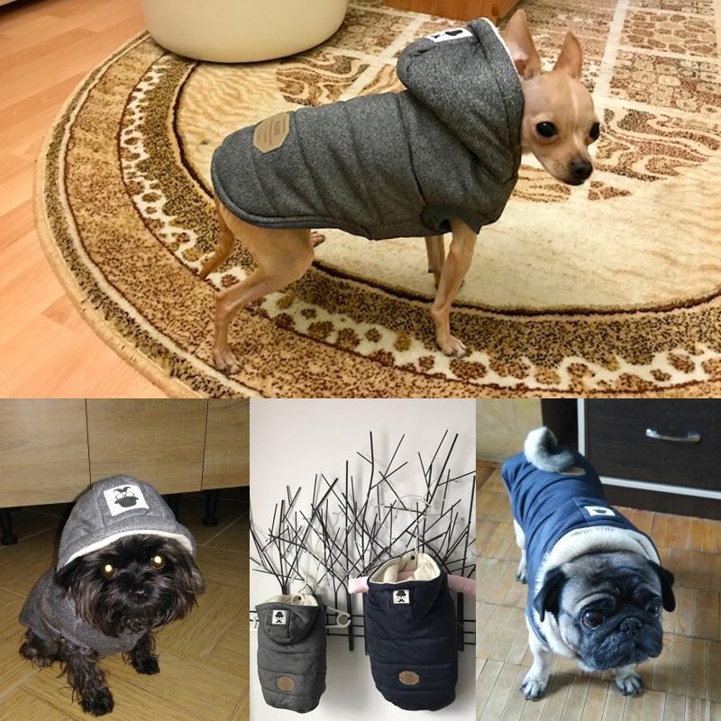 Colete de Inverno para Cachorros | Gentleman - Mega Store