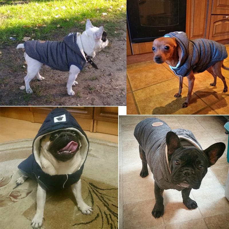 Colete de Inverno para Cachorros | Gentleman - Mega Store